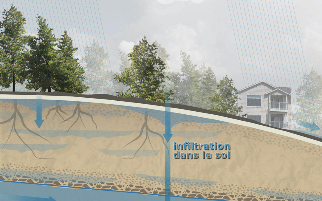 Comment identifier une infiltration d’eau dans les sous-sols avant une inspection professionnelle ?